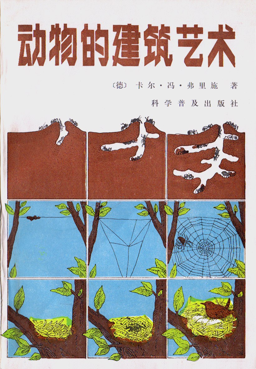 动物的建筑艺术