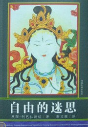 自由的迷思
