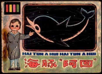 海豚“阿回”