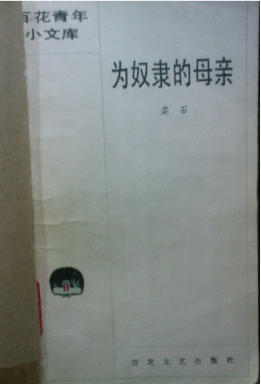 为奴隶的母亲