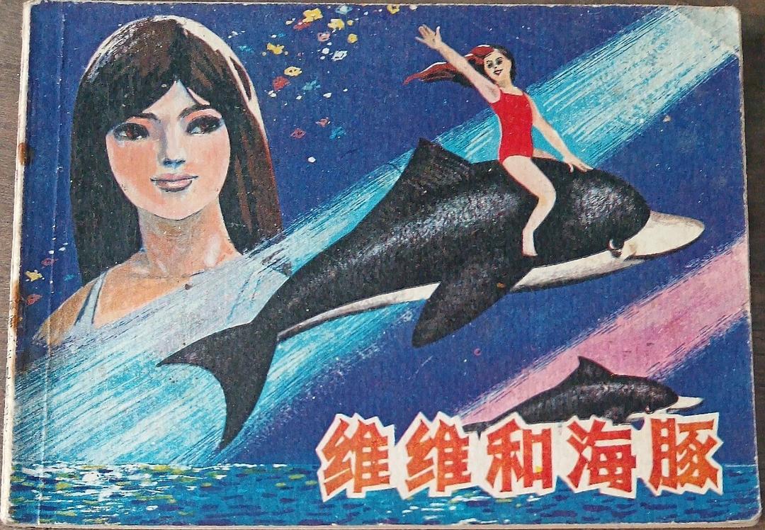 维维和海豚