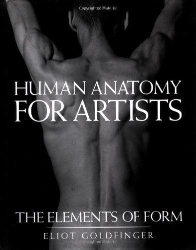 Human Anatomy for Artists