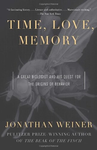 Time, Love, Memory 封面