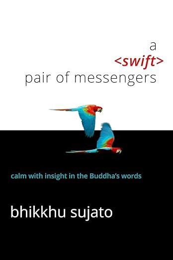 A Swift Pair of Messengers