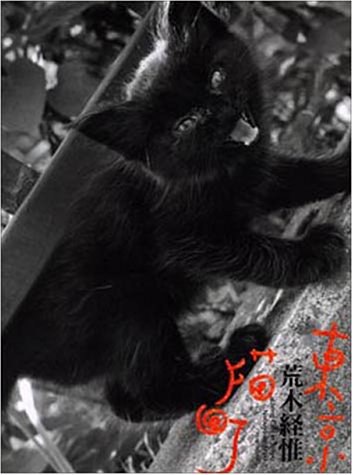 東京猫町