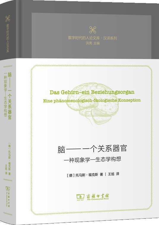 脑: 一个关系器官