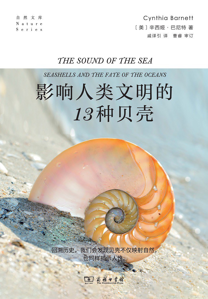 影响人类文明的13种贝壳