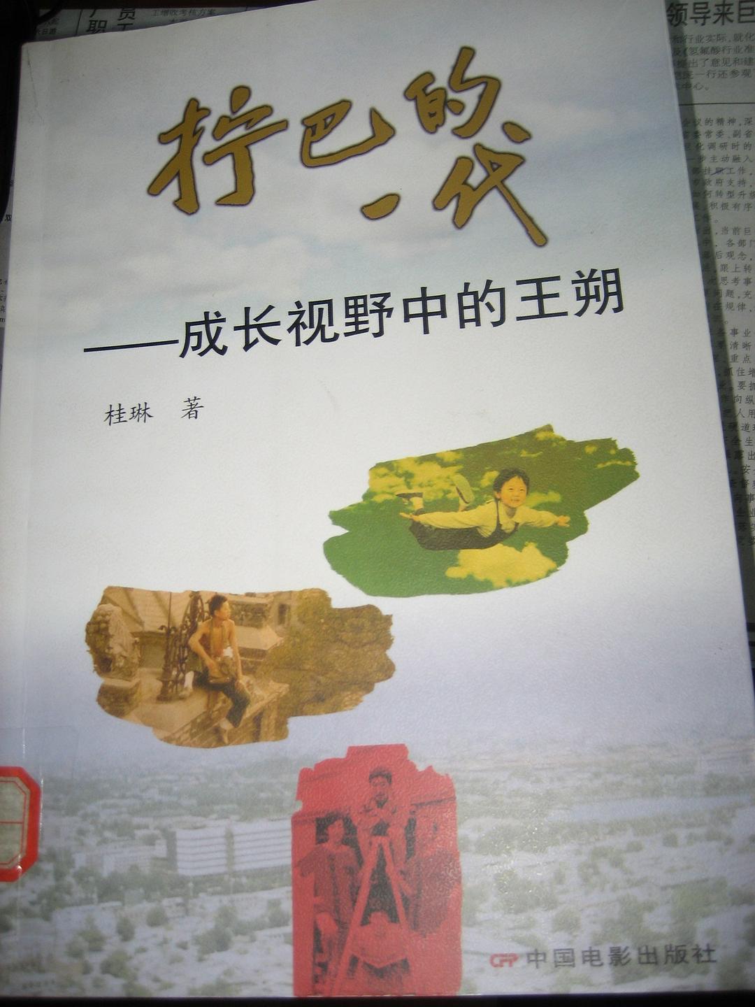 拧巴的一代-成长视野中的王朔
