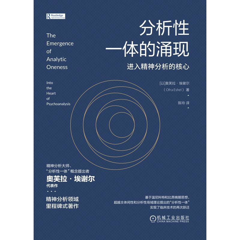 分析性一体的涌现 封面