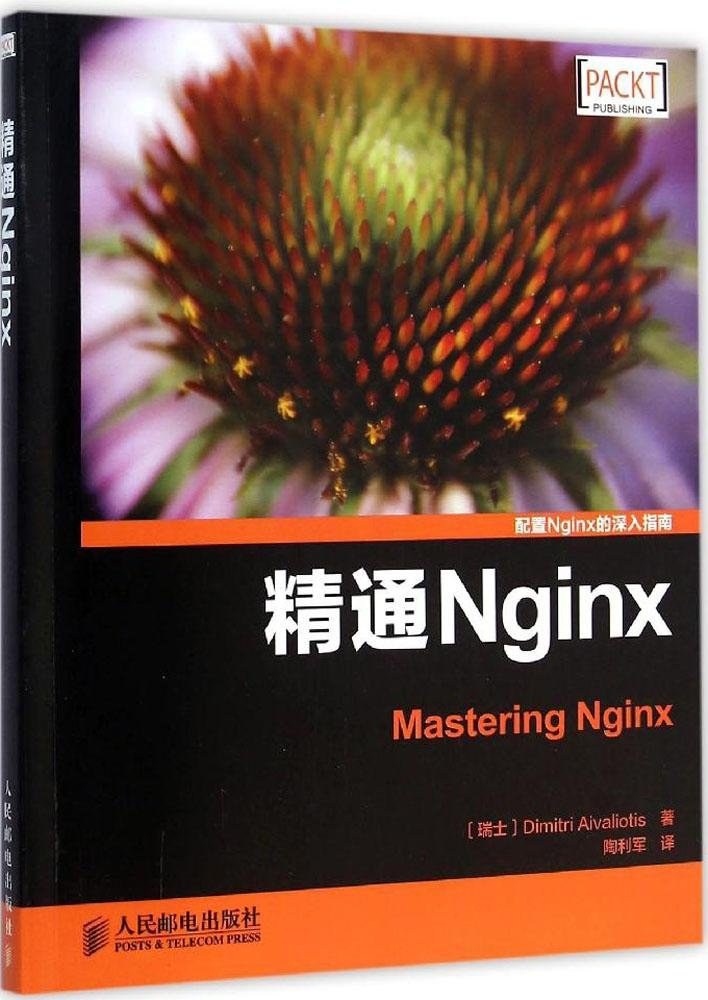 精通Nginx