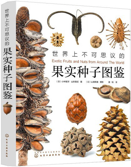 世界上不可思议的果实种子图鉴
