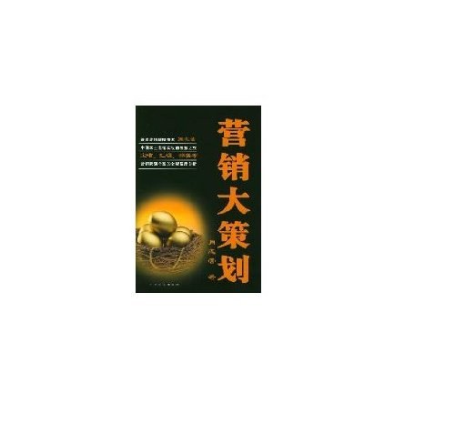 营销大策划 封面