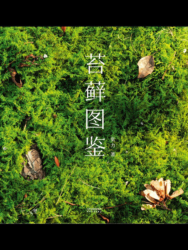 苔藓图鉴