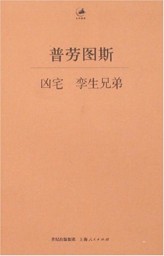 凶宅 孪生兄弟
