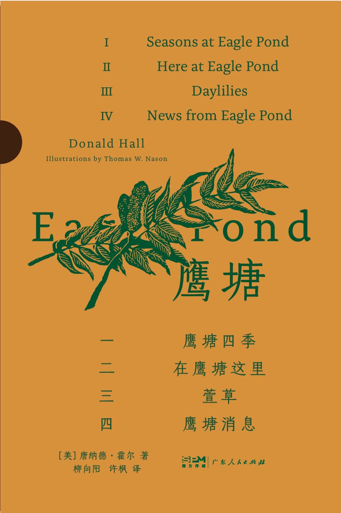 鹰塘