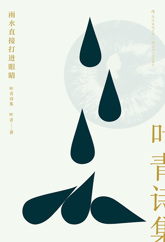 雨水直接打进眼睛：叶青诗集