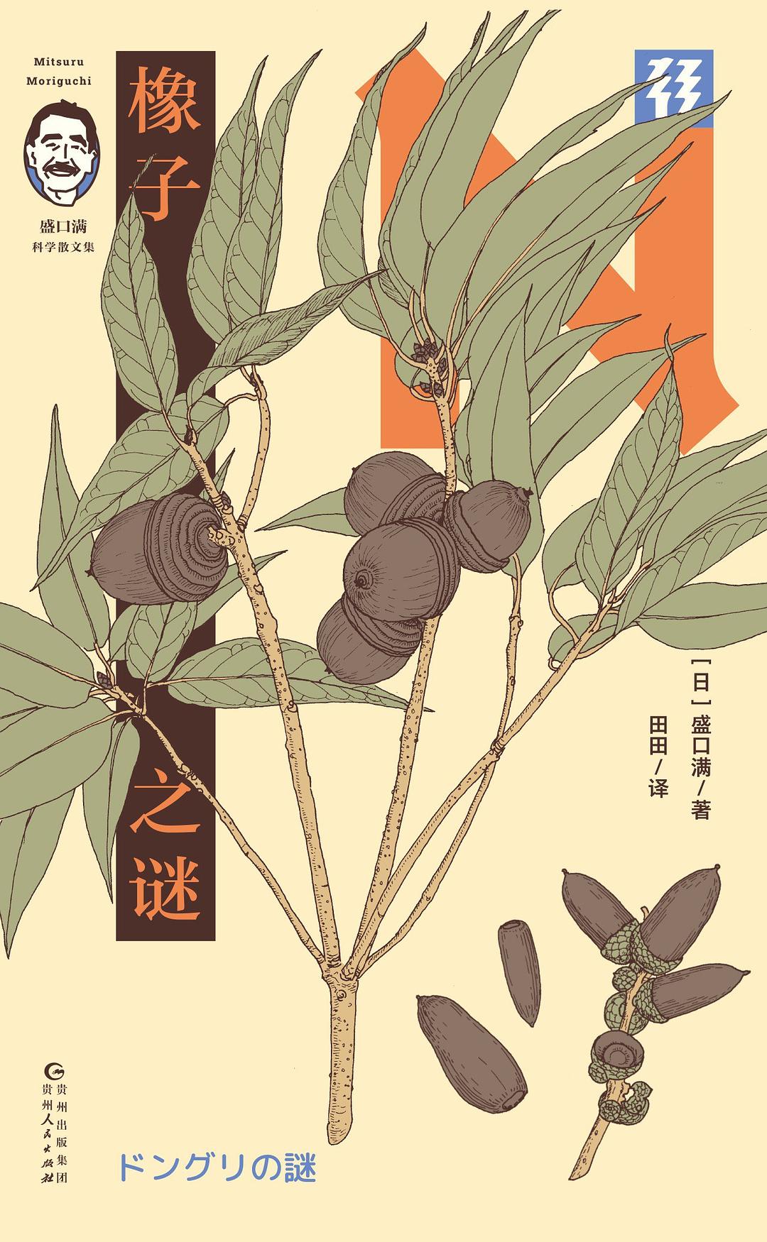 橡子之谜