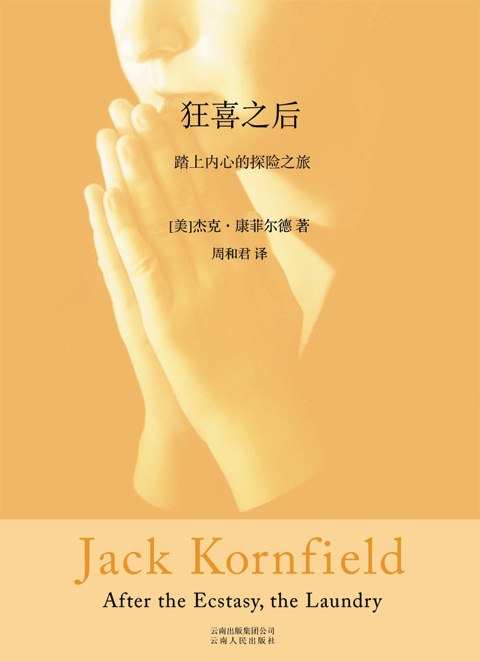 狂喜之后 封面