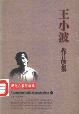 王小波作品集 封面