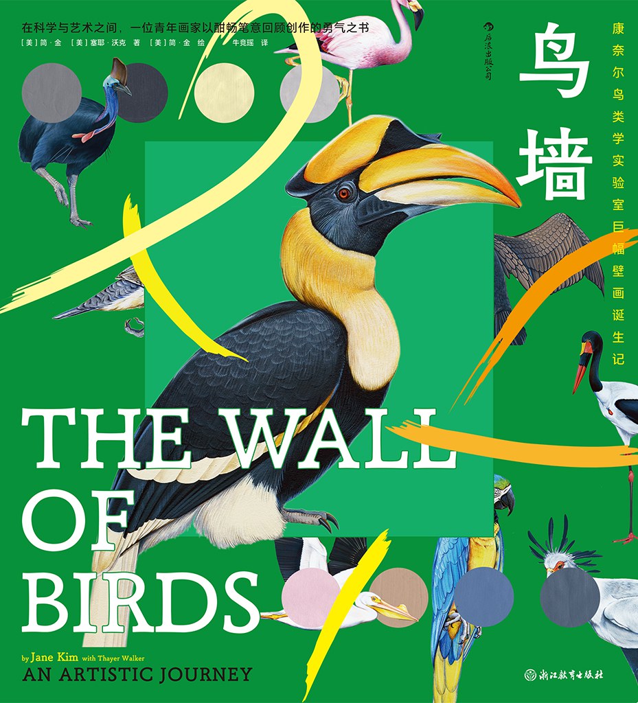 鸟墙