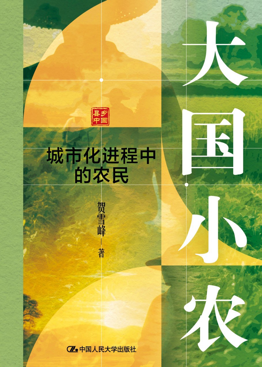 大国小农