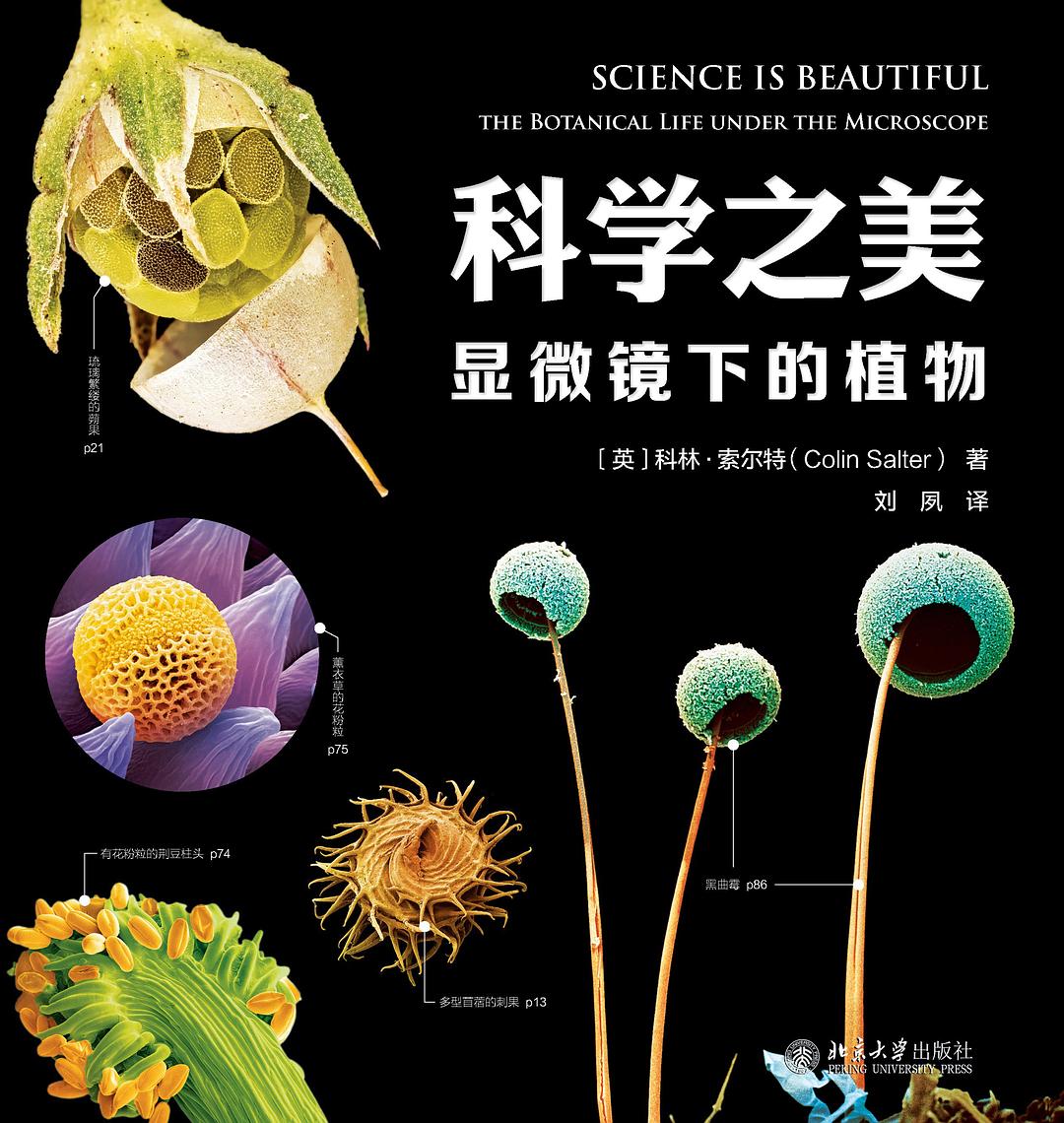 科学之美·显微镜下的植物 封面