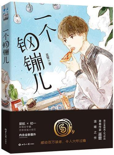 一个钢镚儿 封面