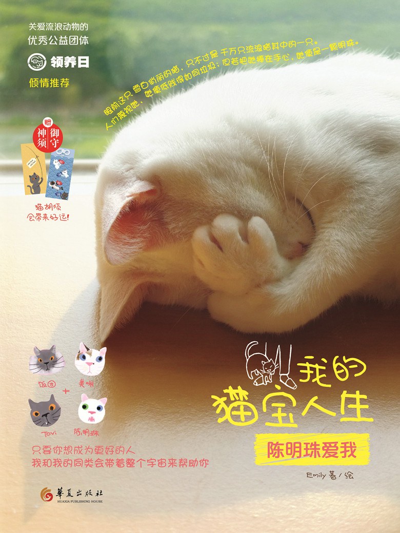 我的猫宝人生