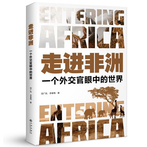 走进非洲：一个外交官眼中的世界