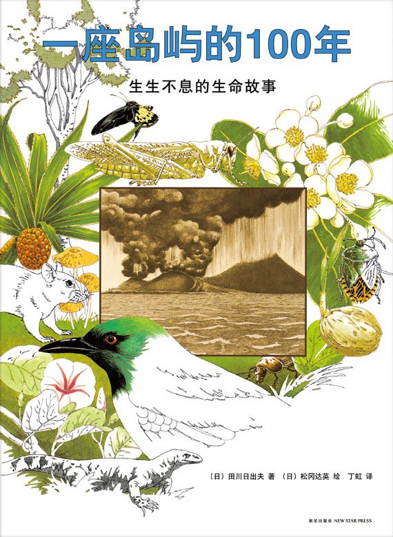 一座岛屿的100年