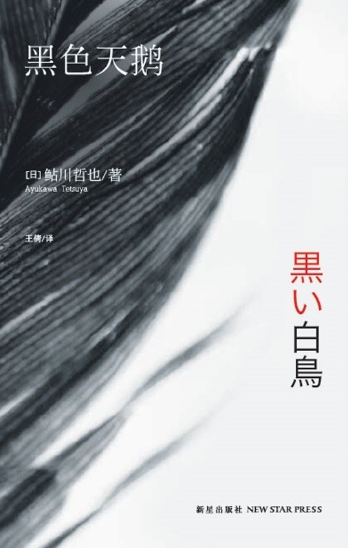 黑色天鹅 封面
