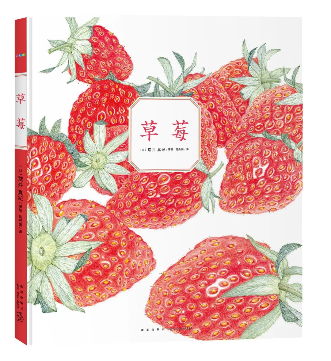 草莓 封面