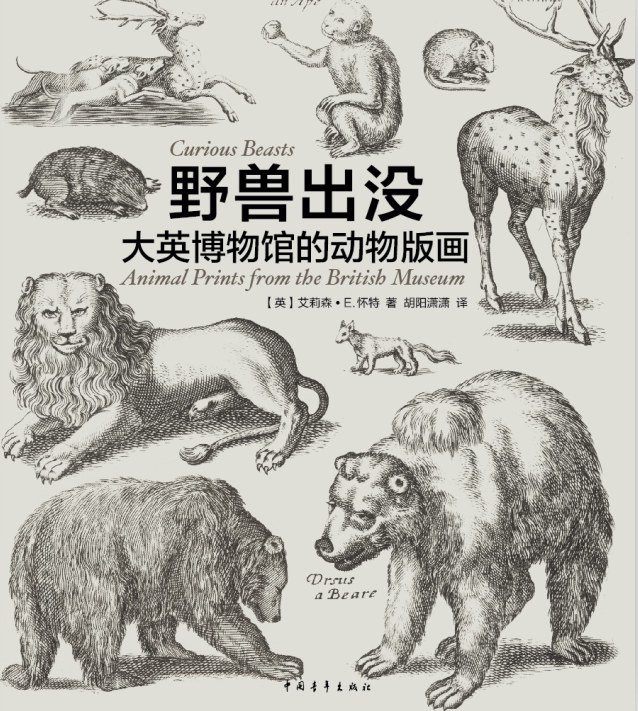 野兽出没