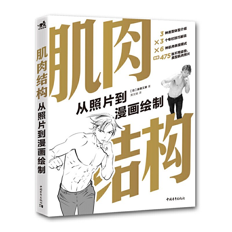 肌肉结构：从照片到漫画绘制