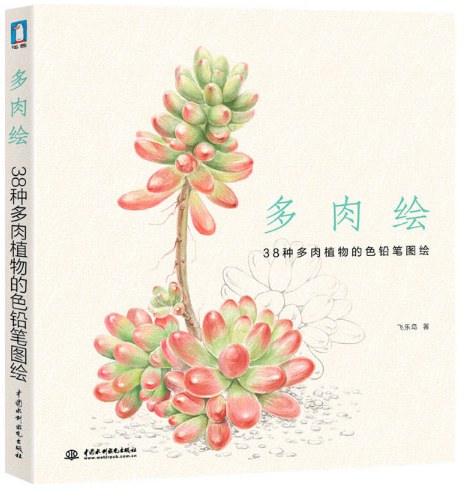 多肉绘
