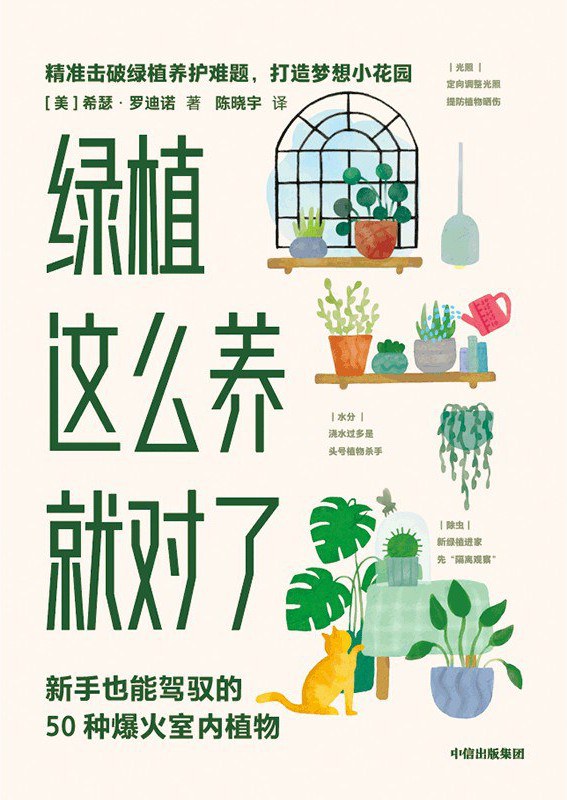 绿植这么养就对了