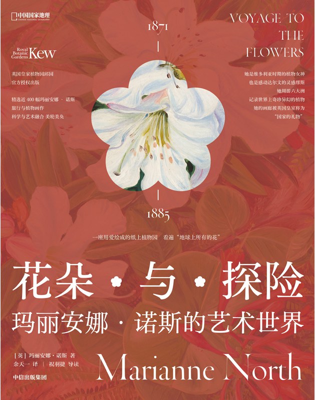 花朵与探险