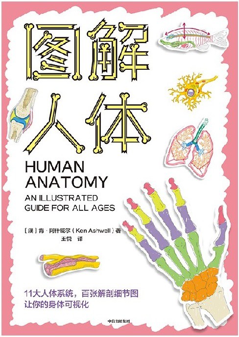 图解人体