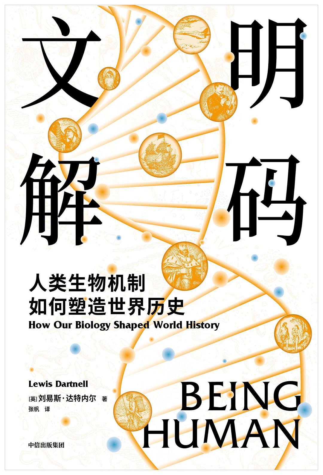 文明解码 封面