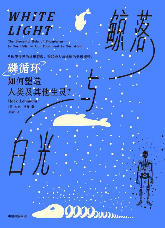 鲸落与白光