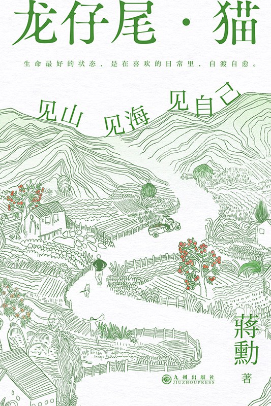 龙仔尾·猫