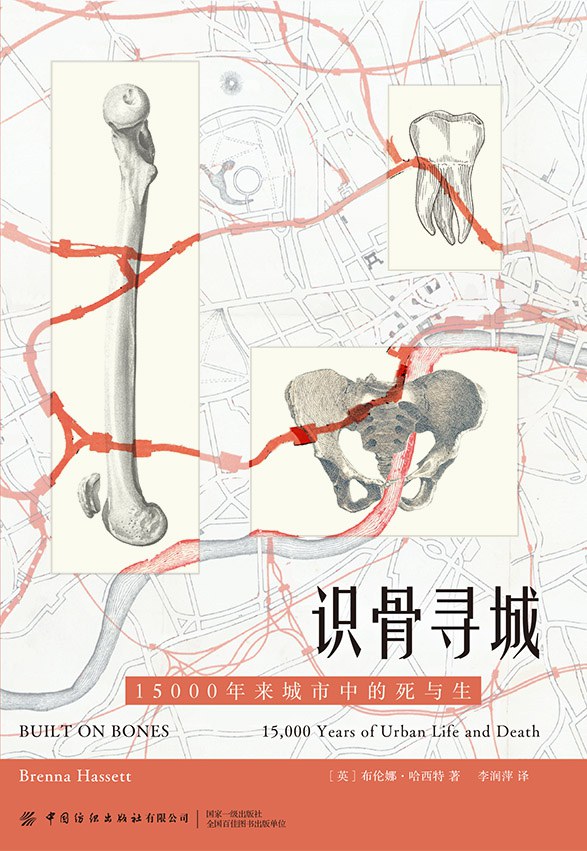 识骨寻城