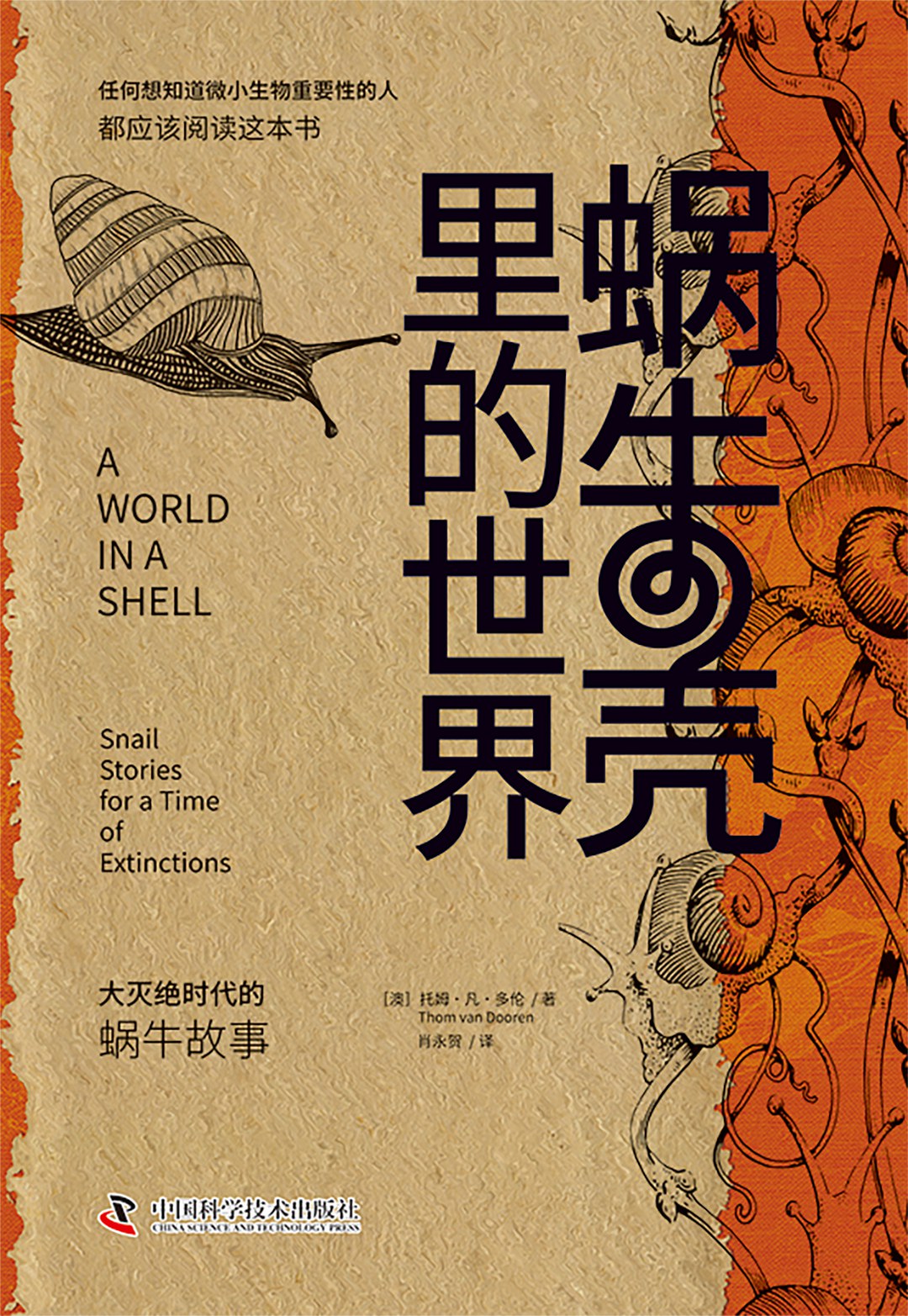 蜗牛壳里的世界