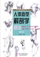 人体造型解剖学基础 封面