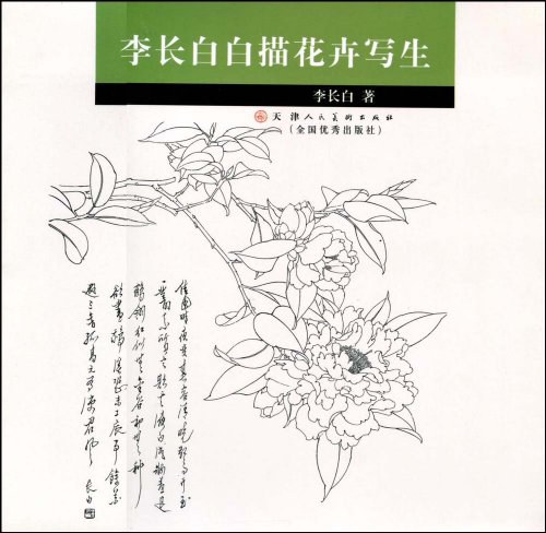 李长白白描花卉写生