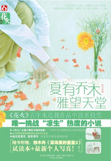 夏有乔木雅望天堂 封面