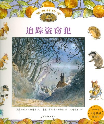 追踪盗窃犯