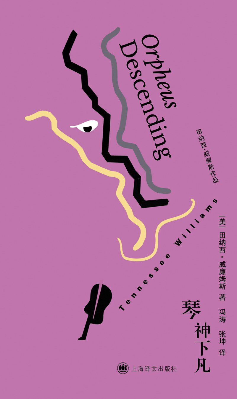 琴神下凡 封面