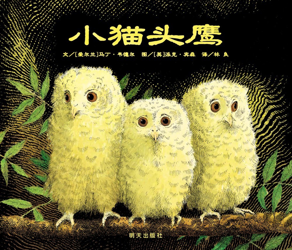 小猫头鹰