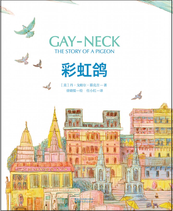 彩虹鸽 封面
